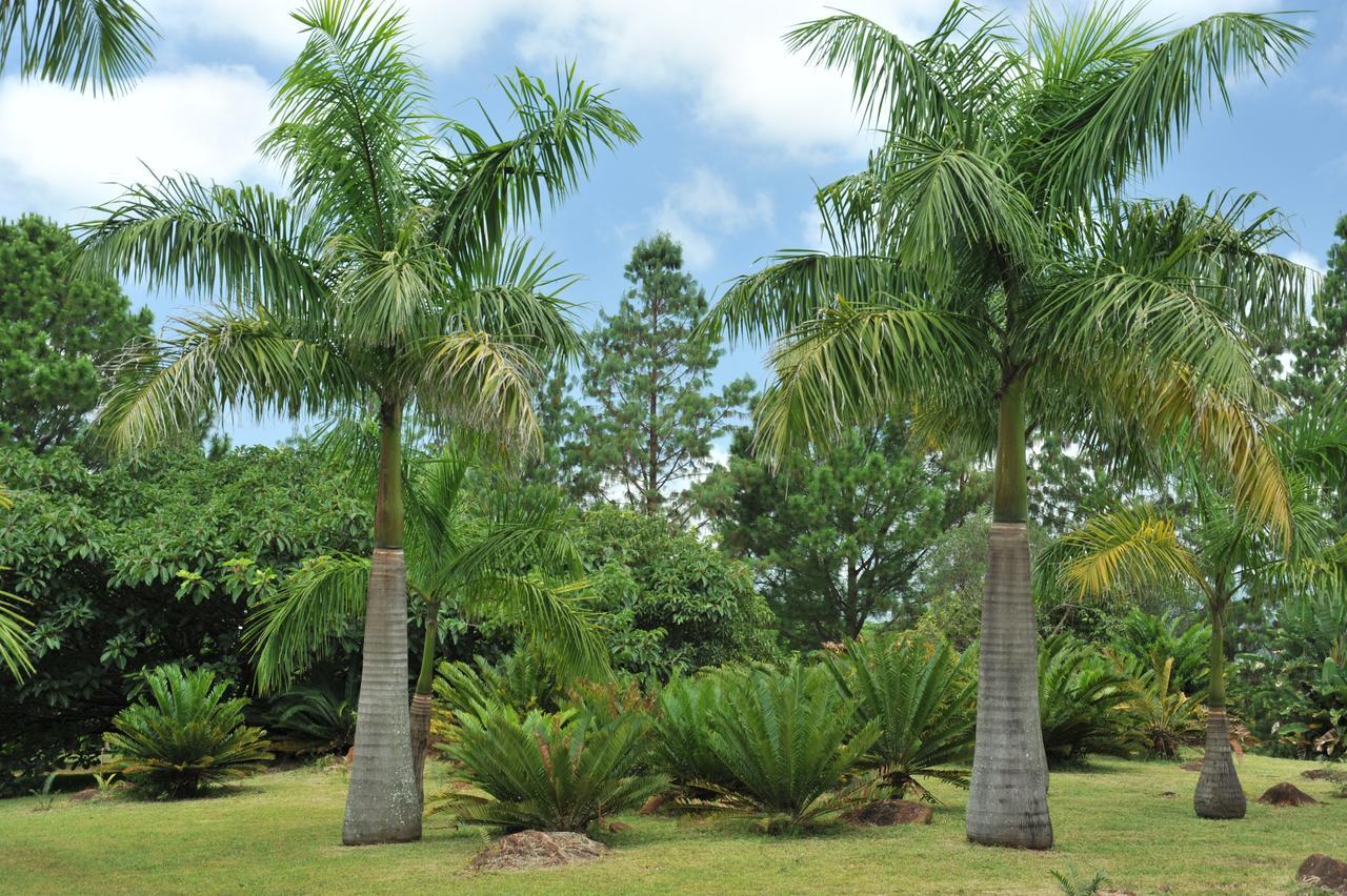 Summerfield Botanical Garden & Exclusive Resort Matsapha Exterior photo